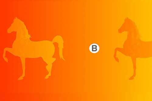 Trắc nghiệm: Bạn làm việc độc lập hay theo nhóm tốt hơn?