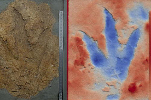 Khám phá 'quái thú ma' chưa từng biết, to và hung bạo như khủng long bạo chúa