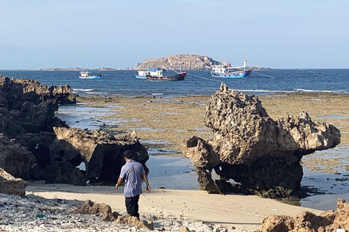 Kỳ thú rạn san hô cổ hóa thạch trên cạn