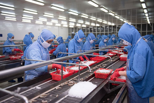 Để nông sản Việt 'danh chính, ngôn thuận' vào EU