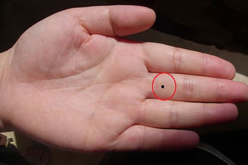 Bàn tay sở hữu những nốt ruồi này, dự báo tài lộc dồi dào, giàu sáng phú quý suốt đời