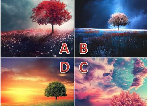 Trắc nghiệm: Điều gì khiến bạn sợ hãi không dám yêu?