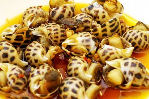 Mẹo chọn ốc hương tươi béo ngậy, 10 con ngon cả 10