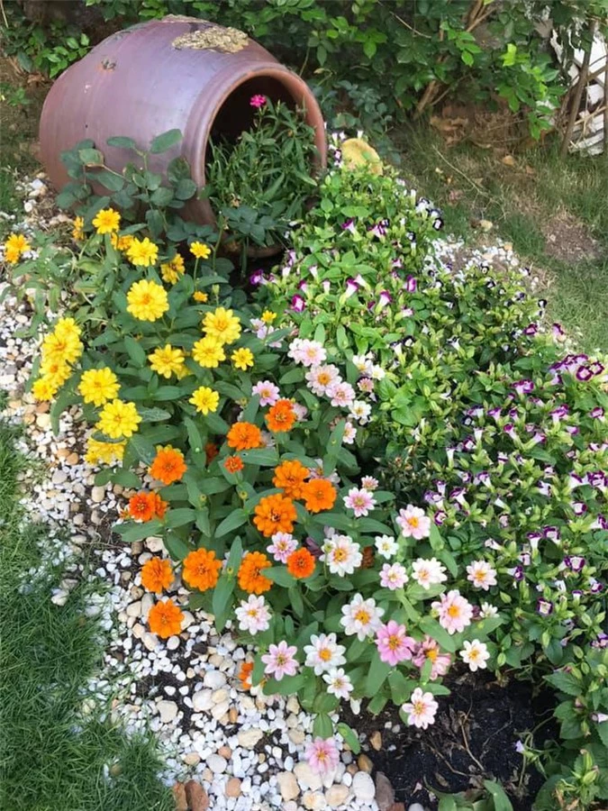 Một góc hoa trong vườn nhà Vy Oanh
