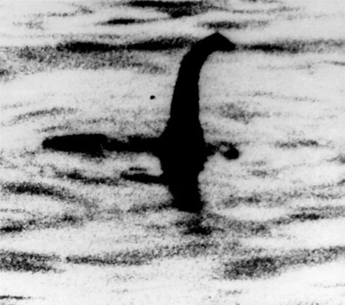Bức ảnh quái vật hồ Loch Ness.