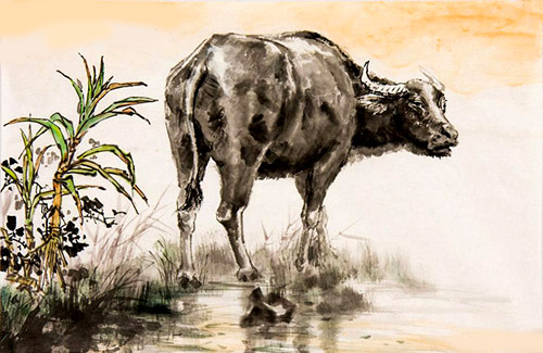 Tử vi thứ Năm ngày 2/7/2020: Con giáp may mắn nếu kinh doanh thu về hợp đồng tiền tỷ, tình duyên đỏ thắm