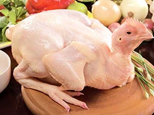 Bí quyết chọn gà ngon săn chắc không chứa chất tăng trọng
