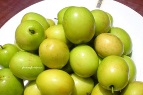 Vì sao táo ta được xem là "thần dược trị bách bệnh"?