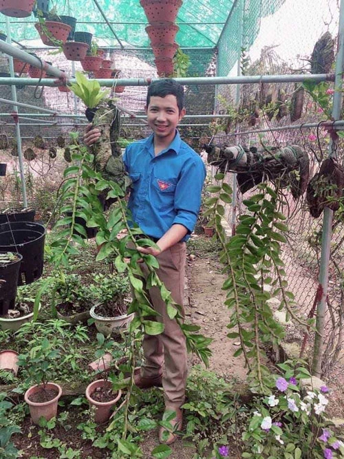 Anh Dương Văn Thắng, xã Yên Bồng (Lạc Thủy) giới thiệu hoa phong lan trong mô hình Vườn hoa cây cảnh của mình.