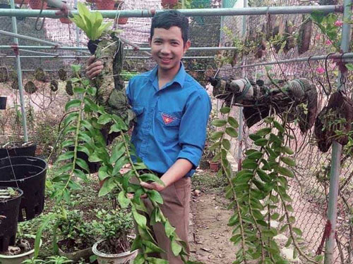 Hòa Bình: Chàng thanh niên làm giàu từ vườn hoa cây cảnh