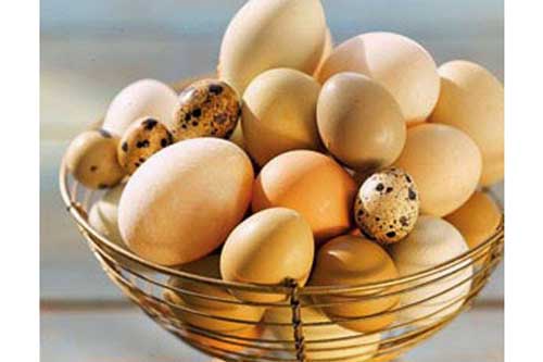 Cách bảo quản trứng gà, vịt trong mùa nắng nóng