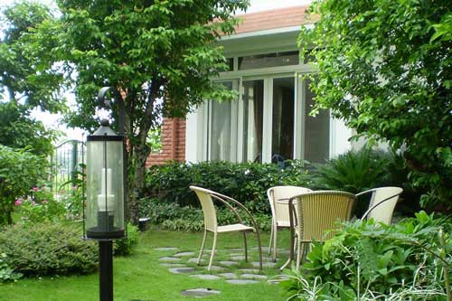 Những lỗi trồng cây phong thủy trong nhà dễ khiến gia đình tiêu hao tài lộc