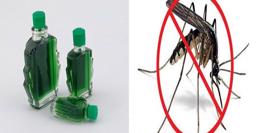 Mẹo "cực độc" để lũ muỗi tự "cao chạy xa bay" chỉ với 3 giọt dầu gió