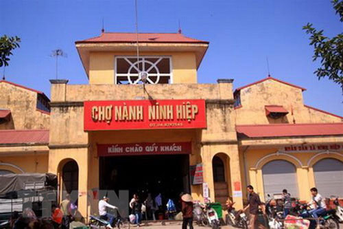 16 năm tù cho "nữ quái" lừa cô ruột bán ki-ốt chợ Ninh Hiệp, Hà Nội