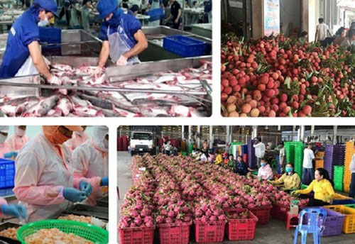 Thặng dư thương mại nông lâm thủy sản đạt 4,5 tỷ USD