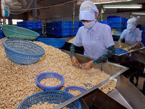 Nông nghiệp được xem là lĩnh vực có nhiều lợi thế khi Hiệp định EVFTA có hiệu lực