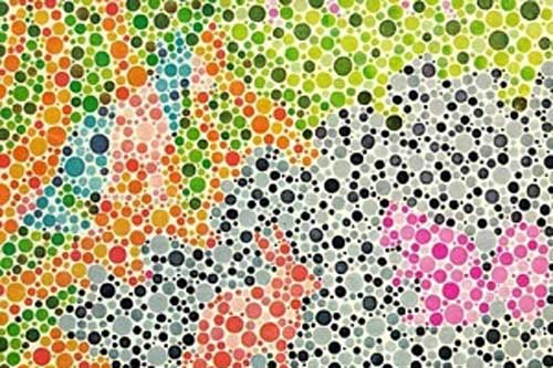 Trắc nghiệm: Bức hình này sẽ gợi mở bí mật 'chuẩn khỏi chỉnh' về bạn