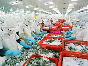 Doanh nghiệp lúng túng khi đưa hàng vào thị trường EU