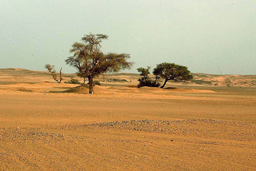 Lý giải gây sốc về việc Sahara biến thành sa mạc