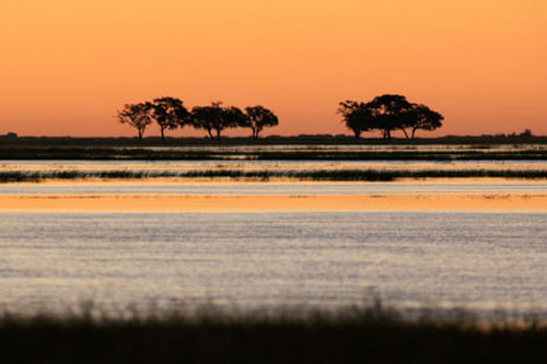 Xác định được quê hương của tổ tiên người hiện đại