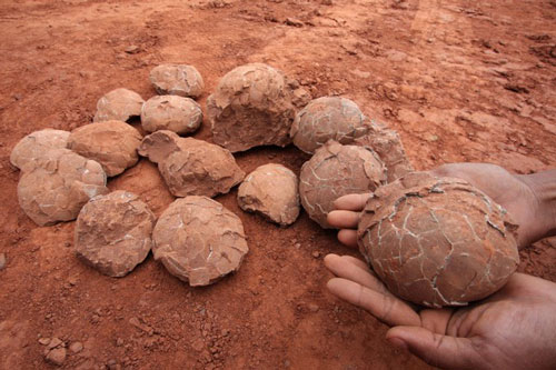 Khủng long có thực sự là loài máu lạnh?