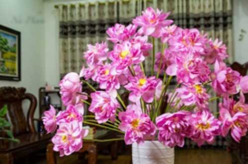 5 lo&#x1EA1;i hoa &#x111;&#x1EB9;p b&#xE0;y trong ph&#xF2;ng kh&#xE1;ch c&#xF3; th&#x1EC3; gi&#xFA;p h&#xFA;t t&#xE0;i l&#x1ED9;c, r&#x1B0;&#x1EDB;c th&#xEA;m ti&#x1EC1;n c&#x1EE7;a v&#xE0;o nh&#xE0;