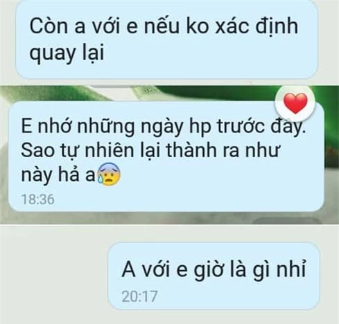 chồng chăn rau 2