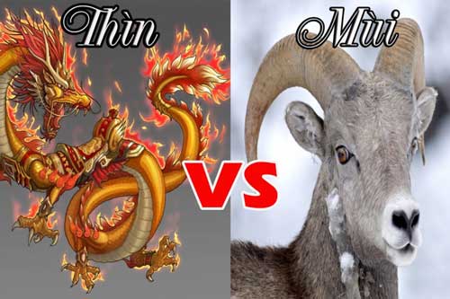 Tử vi ngày 4/7 của 12 con giáp: Thìn tình duyên khởi sắc, Mùi gặp nhiều may mắn trong công việc