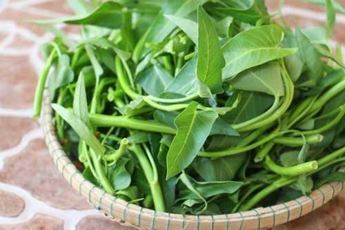 Sai lầm tai hại khi ăn rau muống nhiều người mắc phải mà chẳng hề hay biết