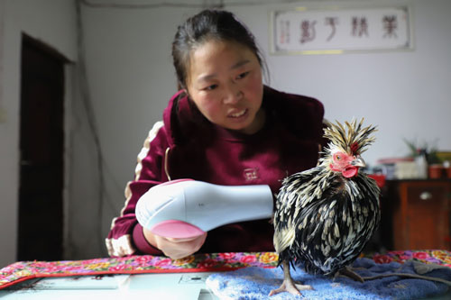 Quy trình tập thể dục, làm đẹp không tưởng của những ‘quý bà gà'