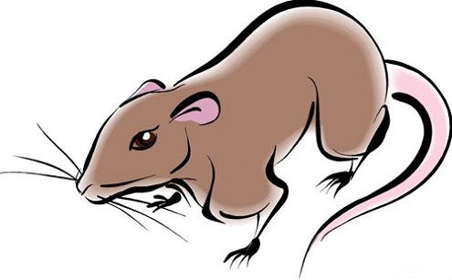 Tử vi Chủ Nhật: 3 con giáp hốt hết tiền của thiên hạ, tình duyên phơi phới chuẩn bị đón Thần Tài ghé chơi