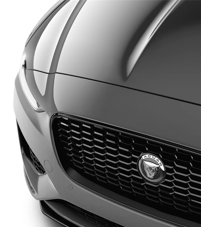 can canh jaguar xe vua 