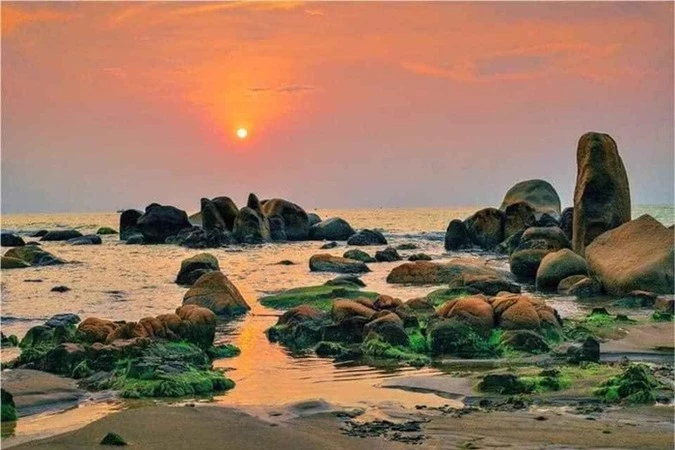 Giải cơn khát mùa hè với thiên nhiên hoang sơ, yên bình ở bãi biển Bàu Trắng - Ảnh 3.