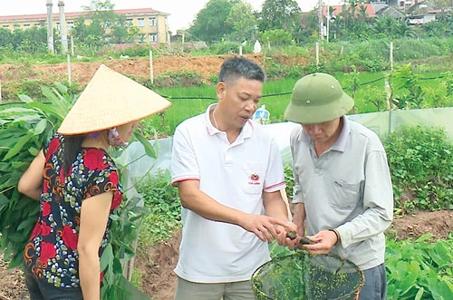 Ông Nguyễn Công Chính chia sẻ kinh nghiệm nuôi ốc nhồi với các hộ dân trong xã.