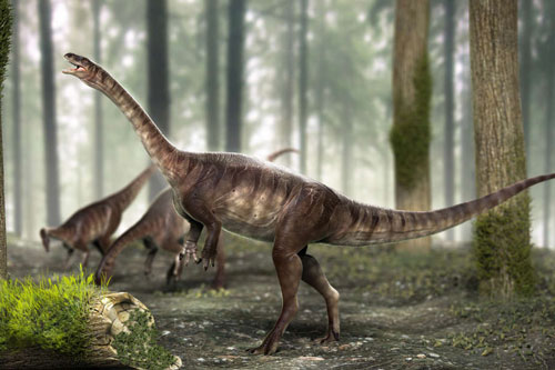 Phát hiện hóa thạch khủng long cổ dài lâu đời nhất từ trước đến nay