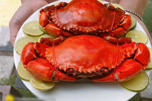 Làm bước này trước khi cho vào nồi, món cua hấp sẽ thơm ngon ngọt thịt, ăn đứt nhà hàng