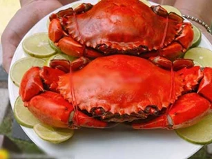 Làm bước này trước khi cho vào nồi, món cua hấp sẽ thơm ngon ngọt thịt, ăn đứt nhà hàng