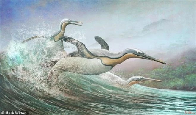 Những con chim cánh cụt khổng lồ sống ở Aotearoa, New Zealand khoảng 60 triệu năm trước.