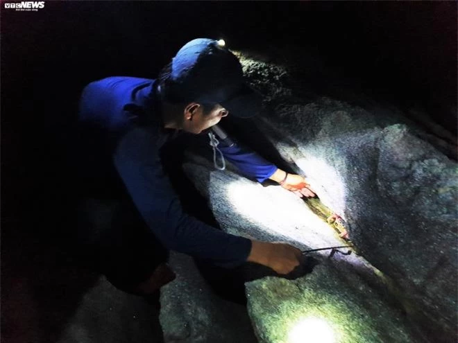 Trắng đêm theo chân thợ săn cua đá trên đảo Cù Lao Chàm - 2