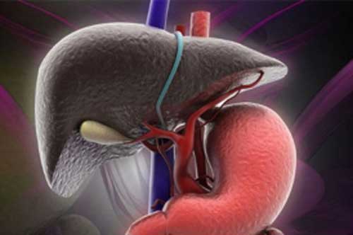 6 loại thực phẩm "vua giải độc" cho gan, ăn vào cơ thể thanh mát, sức khoẻ dồi dào