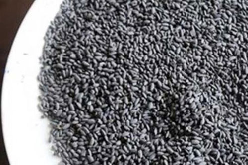 Hóa thạch gạo đen có niên đại từ khoảng 900 năm tuổi tại Campuchia