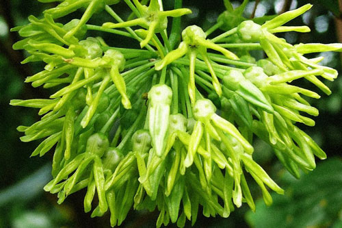 Chăm chỉ dùng những ‘thần dược’ rẻ tiền này, mất ngủ đến mấy cũng ngủ ngon, ngủ sâu đến sáng