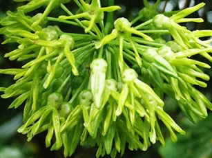 Chăm chỉ dùng những ‘thần dược’ rẻ tiền này, mất ngủ đến mấy cũng ngủ ngon, ngủ sâu đến sáng