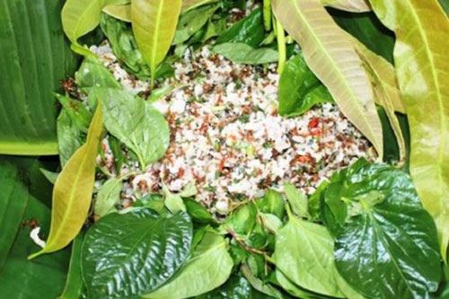 Độc đáo nghề săn kiến vàng ở Tây Nguyên