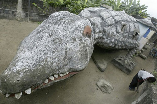 Khám phá ngôi nhà hình cá sấu