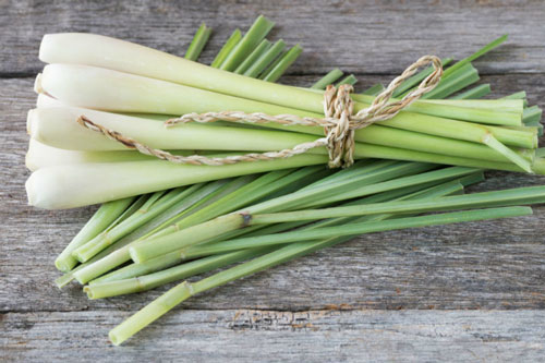 Dùng sả theo cách này chẳng thua kém 'nhân sâm', vừa tốt cho sức khỏe lại phòng ngừa ung thư