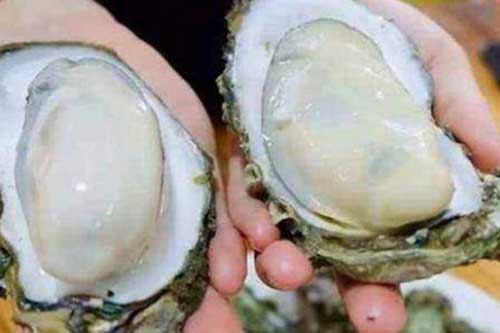 Mua hàu cứ nhằm những con có đặc điểm này, đảm bảo tươi ngon - nhiều thịt, ăn đã miệng