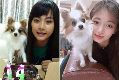 Cún Gucci được Tzuyu cưng chiều suốt 10 năm