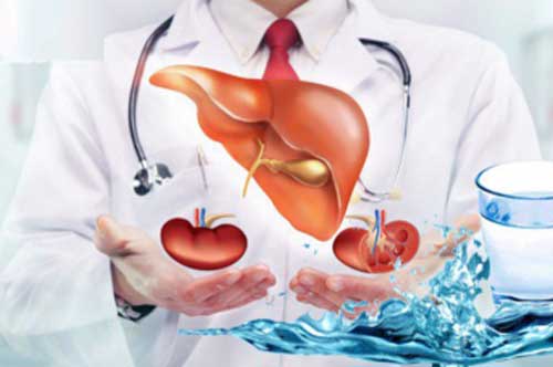 4 loại thực phẩm gây "gánh nặng" cho gan, thận của bạn nhất là loại thứ 3