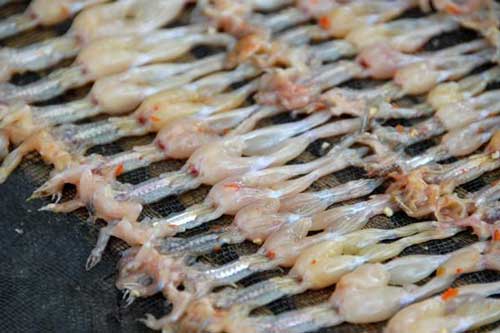 Độc - dị - ngon chính là những đặc sản ở An Giang